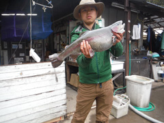 すそのフィッシングパーク 釣果