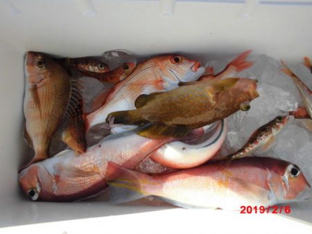 大進丸（新潟） 釣果