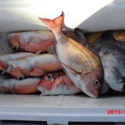 大進丸(新潟) 釣果