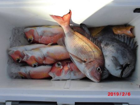 大進丸(新潟) 釣果