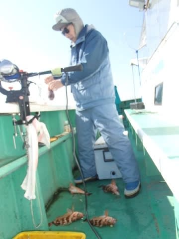 第二むつ漁丸 釣果