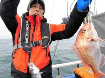 鯛紅丸 釣果