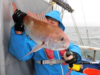 鯛紅丸 釣果