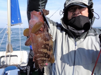 鯛紅丸 釣果