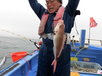 鯛紅丸 釣果