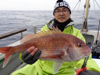 鯛紅丸 釣果