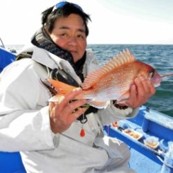 鯛紅丸 釣果
