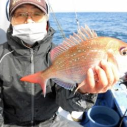 鯛紅丸 釣果