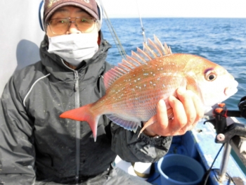 鯛紅丸 釣果