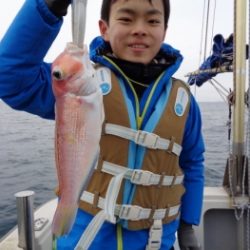 鯛紅丸 釣果