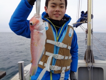 鯛紅丸 釣果