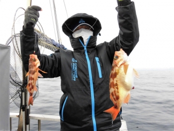 鯛紅丸 釣果