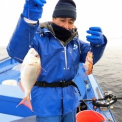 鯛紅丸 釣果