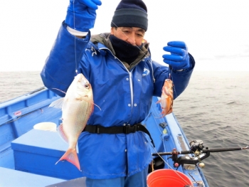 鯛紅丸 釣果