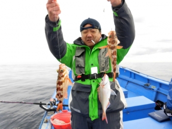 鯛紅丸 釣果
