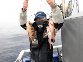 鯛紅丸 釣果