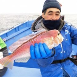 鯛紅丸 釣果