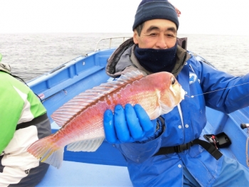 鯛紅丸 釣果