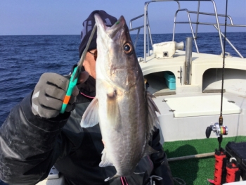 鯛紅丸 釣果