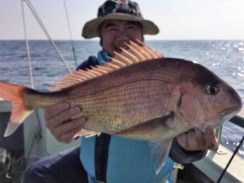 鯛紅丸 釣果