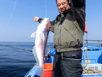 鯛紅丸 釣果