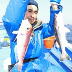 鯛紅丸 釣果