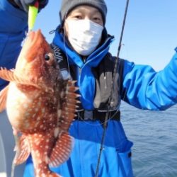 鯛紅丸 釣果