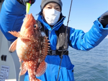鯛紅丸 釣果