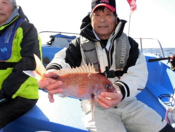 鯛紅丸 釣果