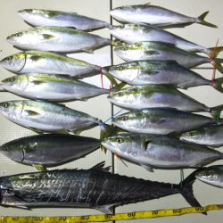 Hit Rush(ヒット ラッシュ) 釣果