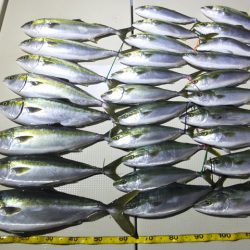 Hit Rush(ヒット ラッシュ) 釣果