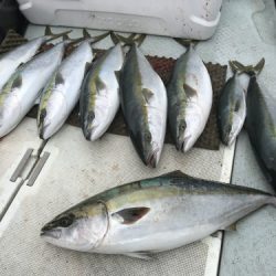 釣船 浦島太郎 釣果