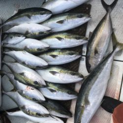 釣船 浦島太郎 釣果