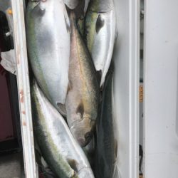 釣船 浦島太郎 釣果