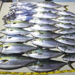 Hit Rush(ヒット ラッシュ) 釣果