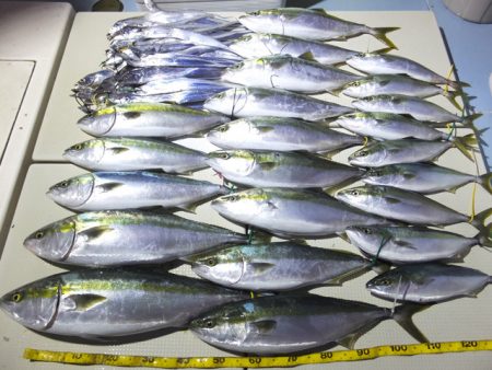 Hit Rush(ヒット ラッシュ) 釣果