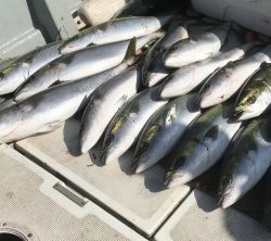 釣船 浦島太郎 釣果