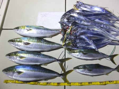 Hit Rush(ヒット ラッシュ） 釣果…