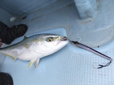 Hit Rush(ヒット ラッシュ) 釣果