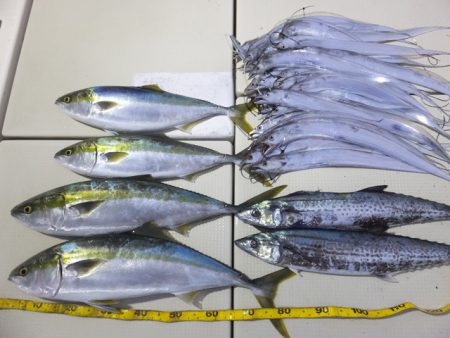 Hit Rush(ヒット ラッシュ） 釣果…