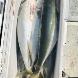 釣船 浦島太郎 釣果