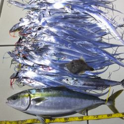 Hit Rush(ヒット ラッシュ) 釣果