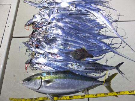 Hit Rush(ヒット ラッシュ） 釣果…