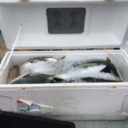 釣船 浦島太郎 釣果