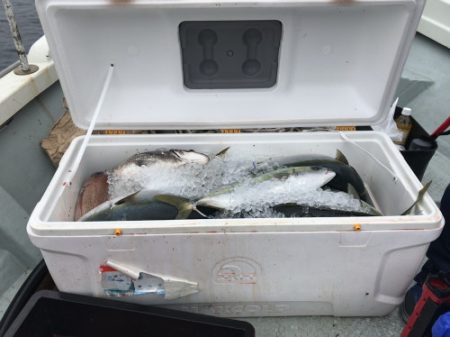 釣船 浦島太郎 釣果