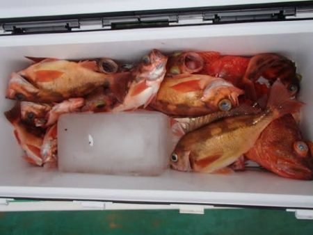 第二むつ漁丸 釣果