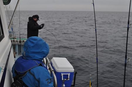 八海丸 釣果