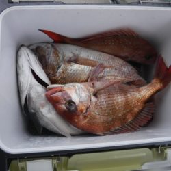 遊漁船 幸友丸 釣果