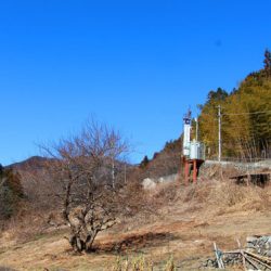 小菅トラウトガーデン 釣果