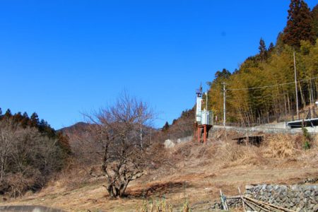 小菅トラウトガーデン 釣果